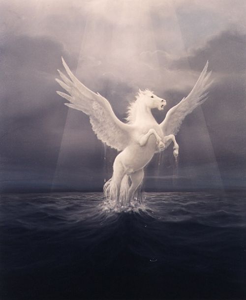 pegasss